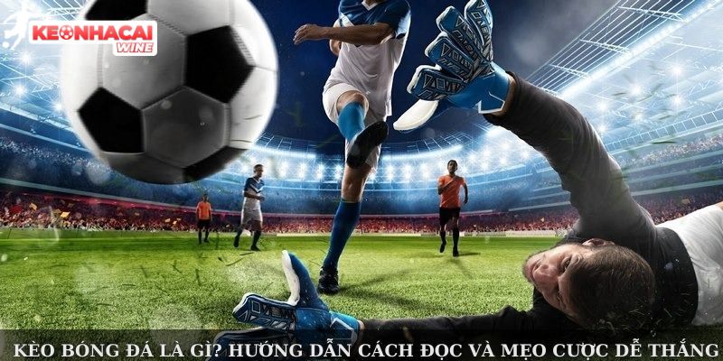 Kèo Bóng Đá Là Gì? Hướng Dẫn Cách Đọc Và Mẹo Cược Dễ Thắng