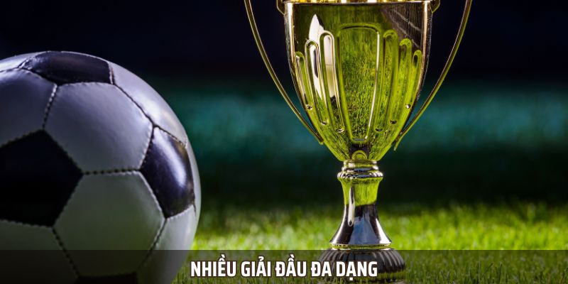 Socolive - Link Xem Bóng Đá Trực Tiếp Mọi Nơi Mỗi Ngày - Ảnh 4