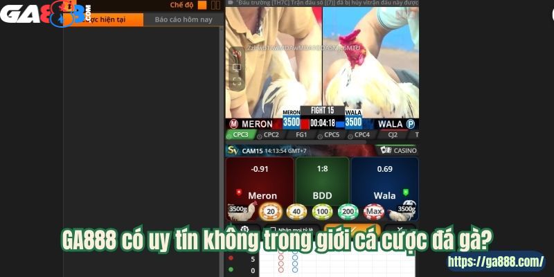 GA888 Đấu Trường Đỉnh Cao - Chiến Kê Hiếu Chiến - Ảnh 1