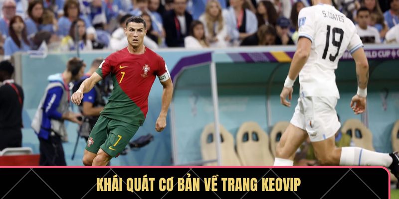 KEOVIP – Cập Nhật Tỷ Lệ Kèo Nhanh, Chuẩn Xác Và Đa Dạng - Ảnh 2