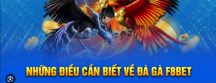 Hướng Dẫn Cá Cược Đá Gà Tại F8Bet Bí Quyết Để Thắng Lớn - Ảnh 4