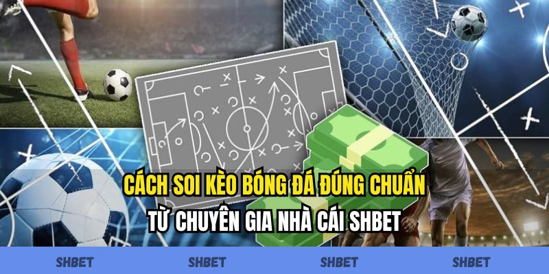 Soi Kèo Bóng Đá QQ88 - Đọc Tỷ Lệ Và Dự Đoán Hiệu Quả - Ảnh 1