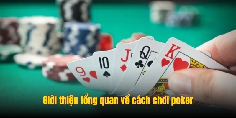 Cách Chơi Poker - Học Cách Quản Lý Cược Và Đọc Vị Đối Thủ