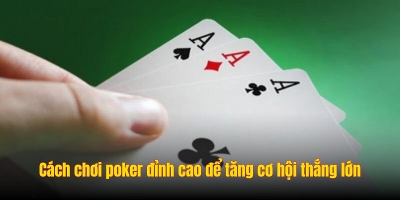 C&aacute;ch Chơi Poker - Học C&aacute;ch Quản L&yacute; Cược V&agrave; Đọc Vị Đối Thủ - Ảnh 3