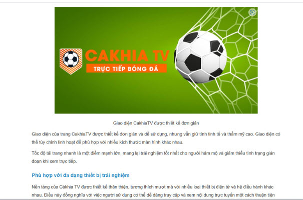 Sử dụng đa dạng các dịch bóng đá không lo mất phí ở Cakhiatv - Ảnh 1