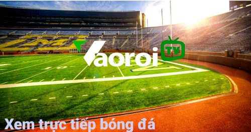 Vaoroi TV: Dấu Ấn Mới Của Bóng Đá Trực Tuyến Tại Vaoroi.lol - Ảnh 2