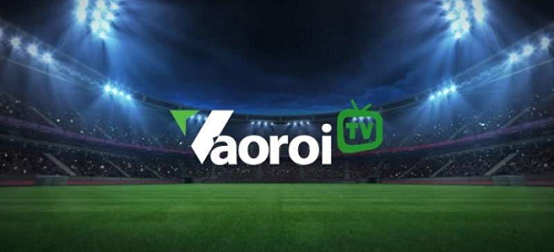 Vaoroi TV - Điểm đến hoàn hảo cho người hâm mộ bóng đá tại vaoroi.lol - Ảnh 1