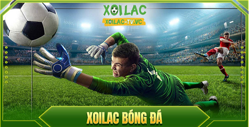 Trải nghiệm xem bóng đá: Khi niềm đam mê kết nối cả thế giới - Ảnh 1