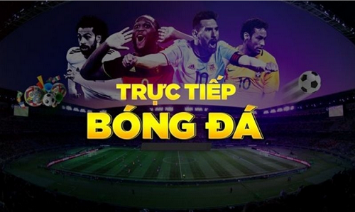 Xem bóng đá không giới hạn với trải nghiệm trực tuyến đỉnh cao - Ảnh 2