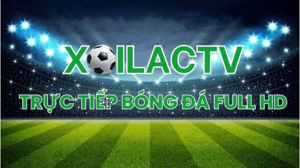 Khám Phá Xoilac TV: Trang Trực Tiếp Bóng Đá Hàng Đầu - Ảnh 1