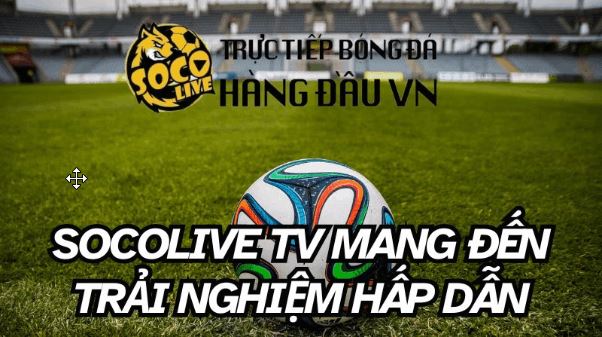 Socolive TV phát sóng bóng đá Full HD, không quảng cáo và bình luận hấp dẫn - Ảnh 1