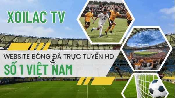 Xem bóng đá live tốc độ cao cực đã với Xoilac TV - Ảnh 2