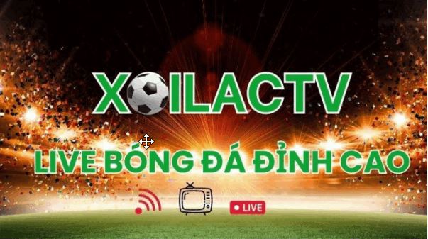 Xoilac TV - top 1 địa chỉ trực tiếp bóng đá miễn phí 100% - Ảnh 1