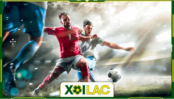 Xoilac TV: Trải nghiệm tuyệt vời của người hâm mộ bóng đá - Ảnh 3