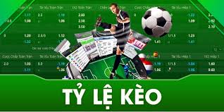 Tỷ lệ kèo nhà cái: Khái niệm cơ bản và tầm quan trọng - Ảnh 1