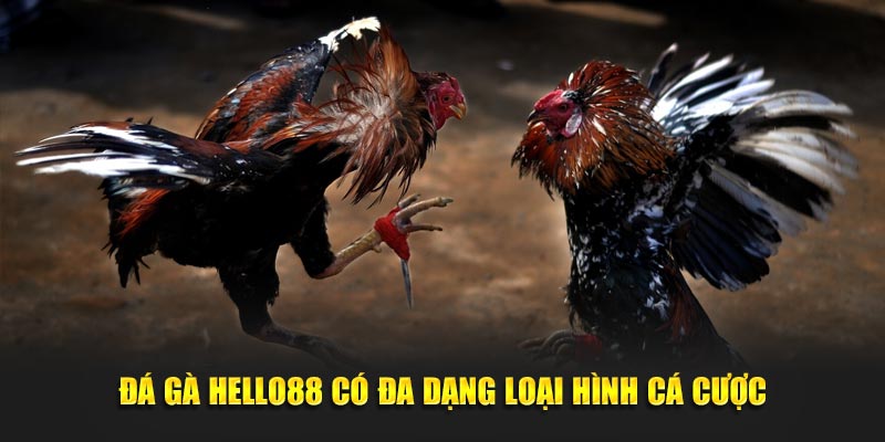 Đá Gà Hello88: Luật Chơi Đơn Giản, Trúng Thưởng Dễ Dàng! - Ảnh 2