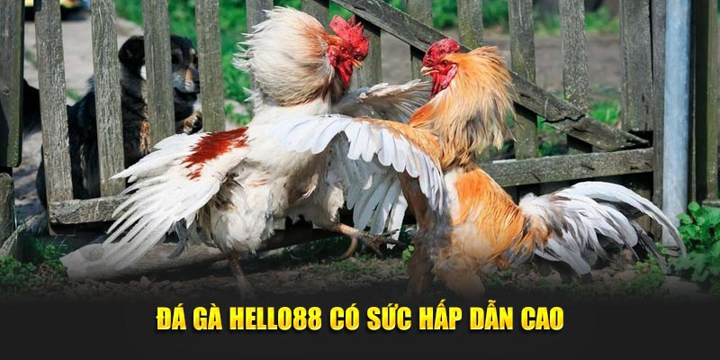 Đá Gà Hello88: Luật Chơi Đơn Giản, Trúng Thưởng Dễ Dàng! - Ảnh 3