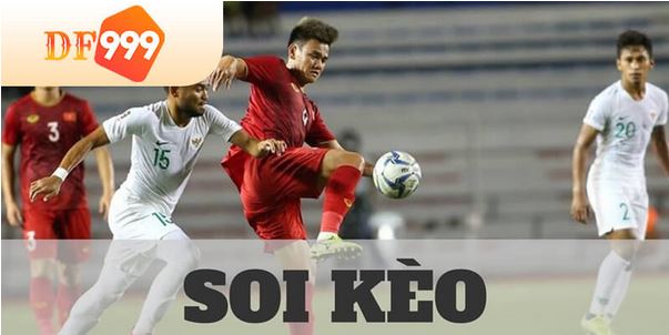 Top 3 sai lầm soi kèo bóng đá nên tránh để không mất tiền cược - Ảnh 1