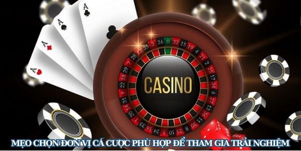 Tiêu Chí Đánh Giá Và Top Nhà Cái Uy Tín Trên Thị Trường - Ảnh 3