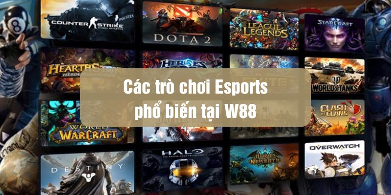 Cá cược Esports tại W88: Lý do thể thao điện tử trở thành xu hướng mới - Ảnh 1