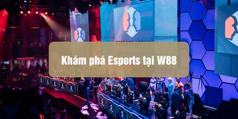 Cá cược Esports tại W88: Lý do thể thao điện tử trở thành xu hướng mới - Ảnh 3
